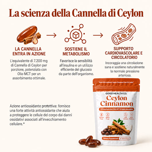 Cannella di Ceylon 7200mg Equivalenti con Olio MCT