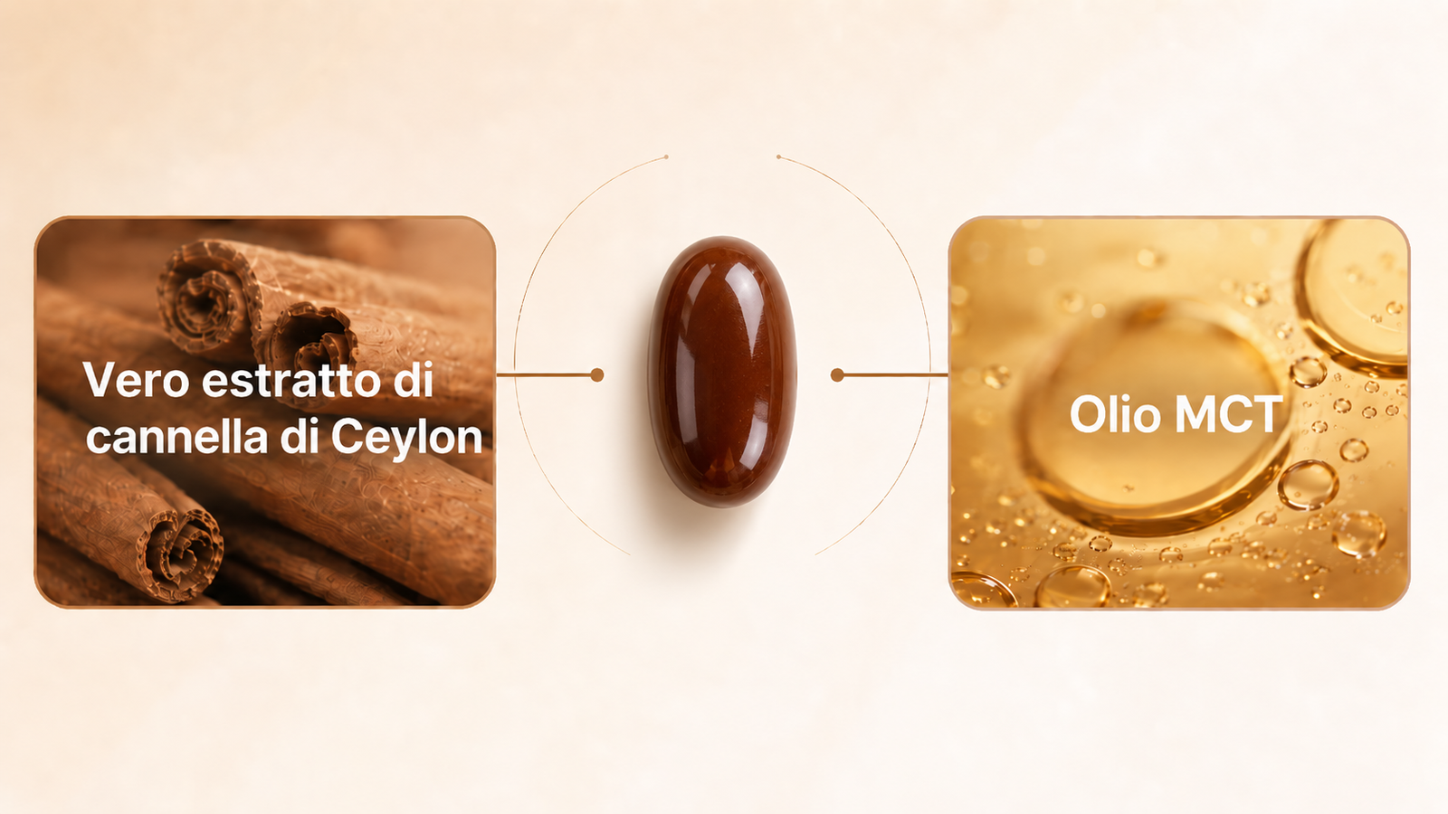 Ingredienti Good Health — Estratto di Cannella di Ceylon Vera e Olio MCT